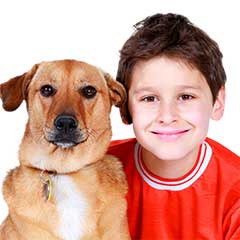 Pet Adoption